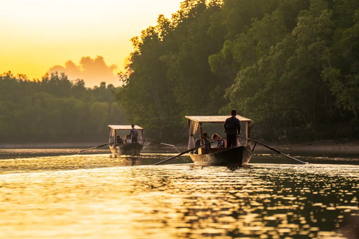 Mangrove Kayaking Price