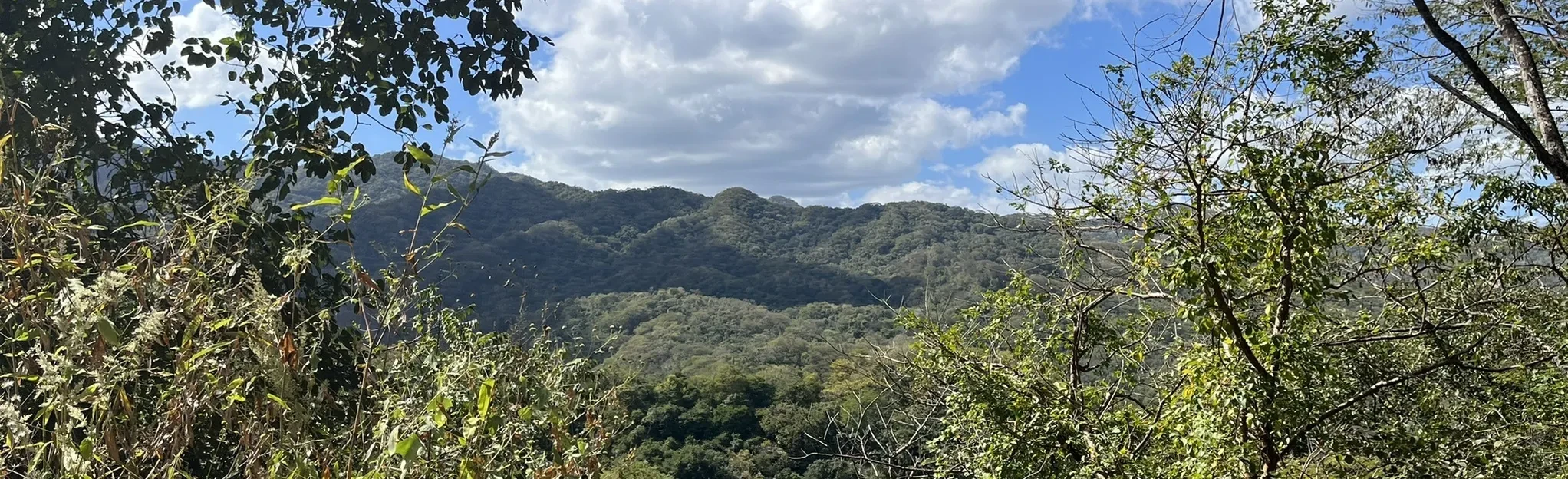 Closest Rainforest to Tamarindo