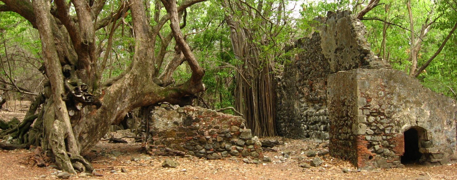 Ruins of the Habitation