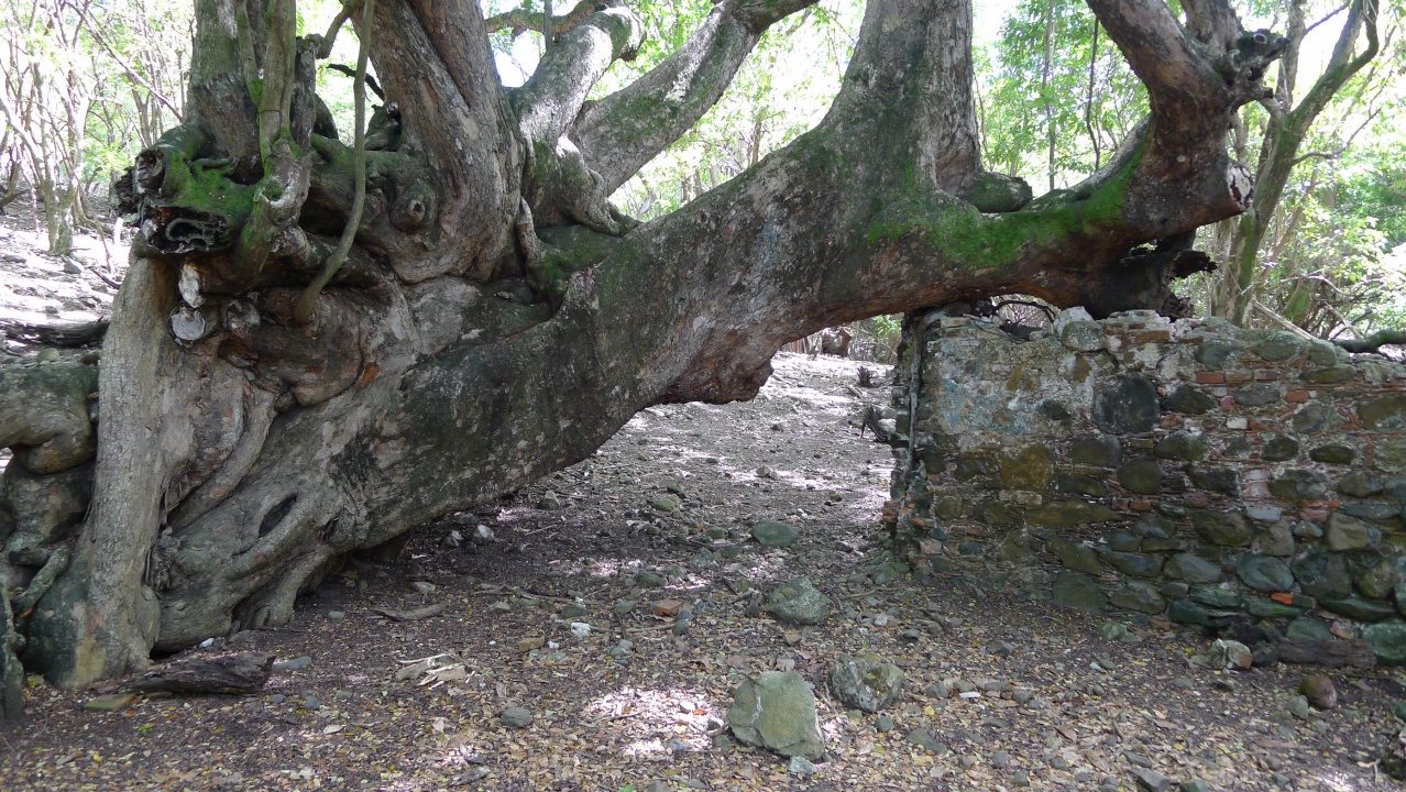 Pottery Works Ruins
