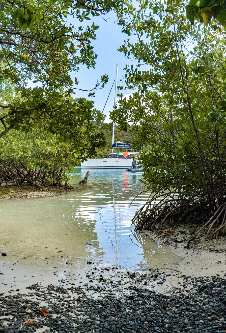 Coastal Vegetation Trails