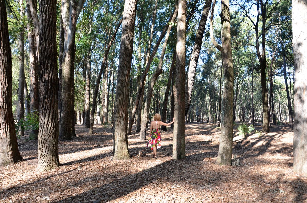 Parque Roosevelt