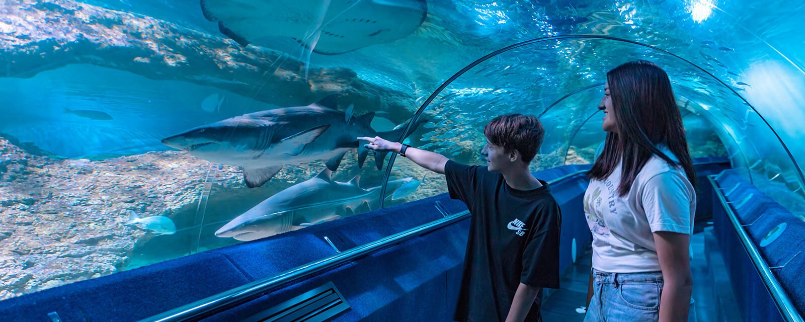 AQWA The Aquarium of Western Australia