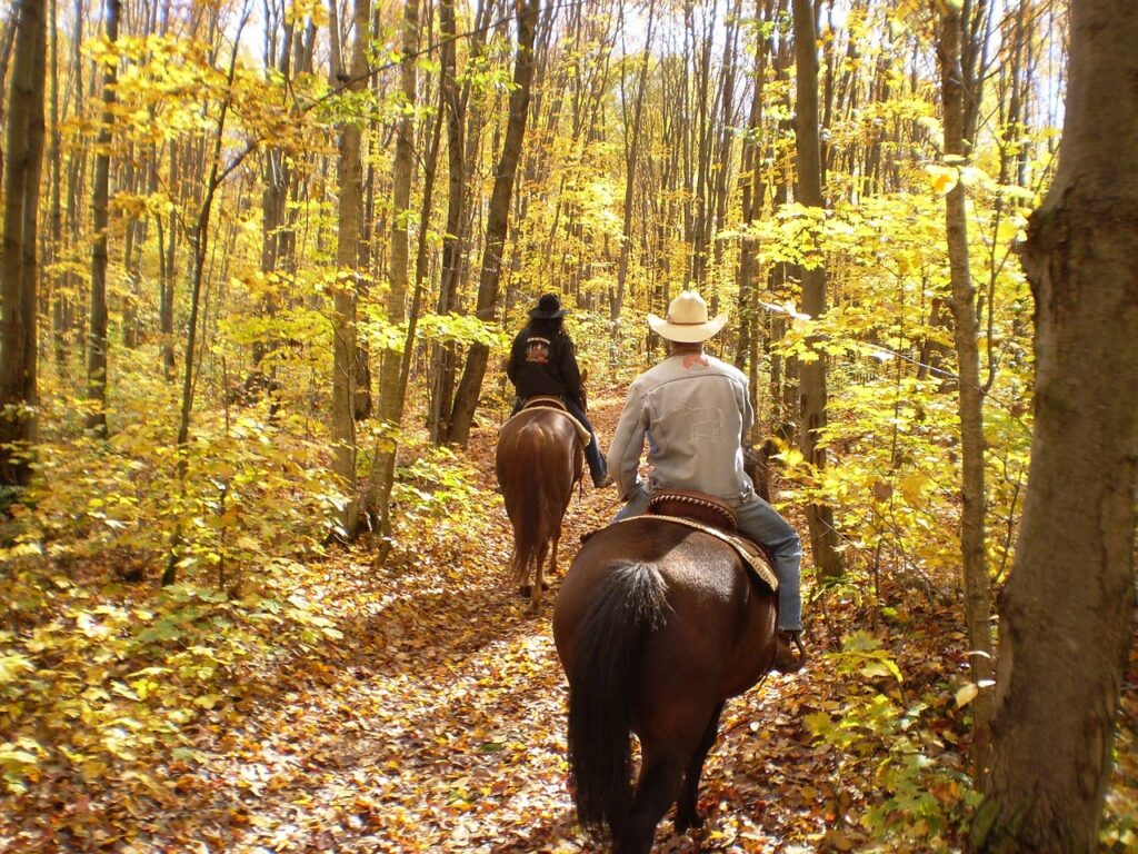 White Mountain National Forest Horseback Riding