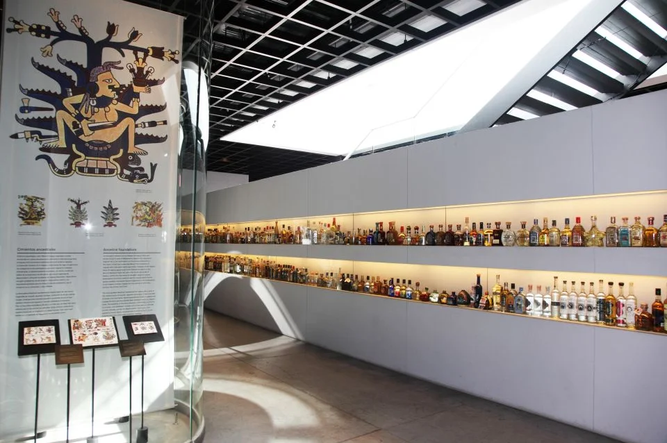 Mexico City Tequila and Mezcal Museum Tour With Tasting