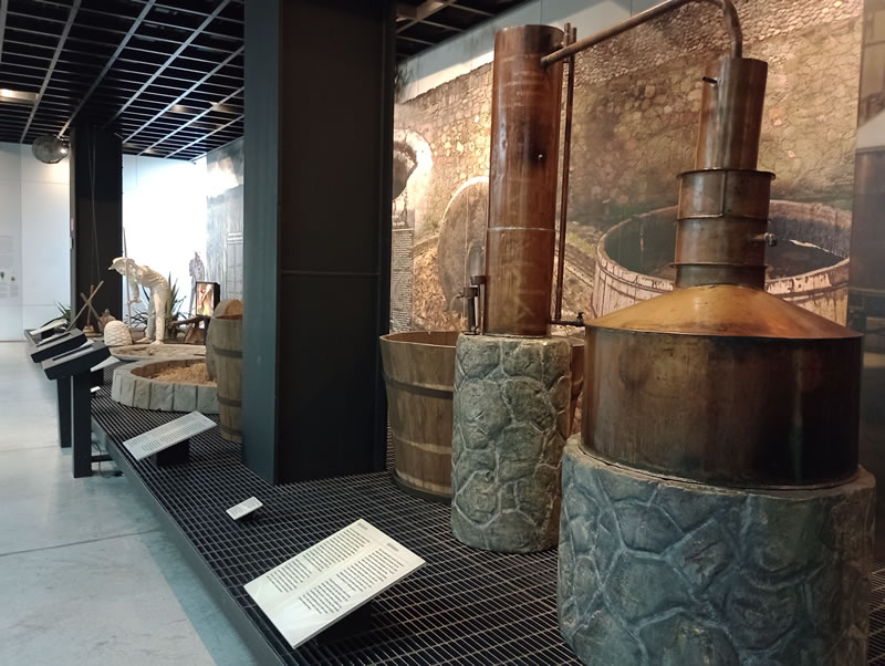 Permanent Exhibition Galleries