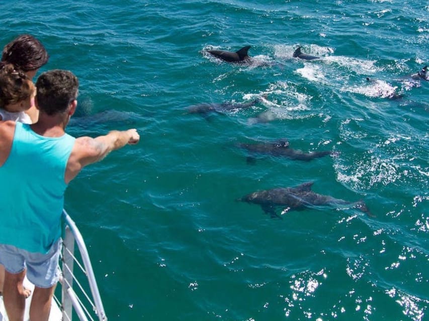 Fort Walton Beach Dolphin Tours
