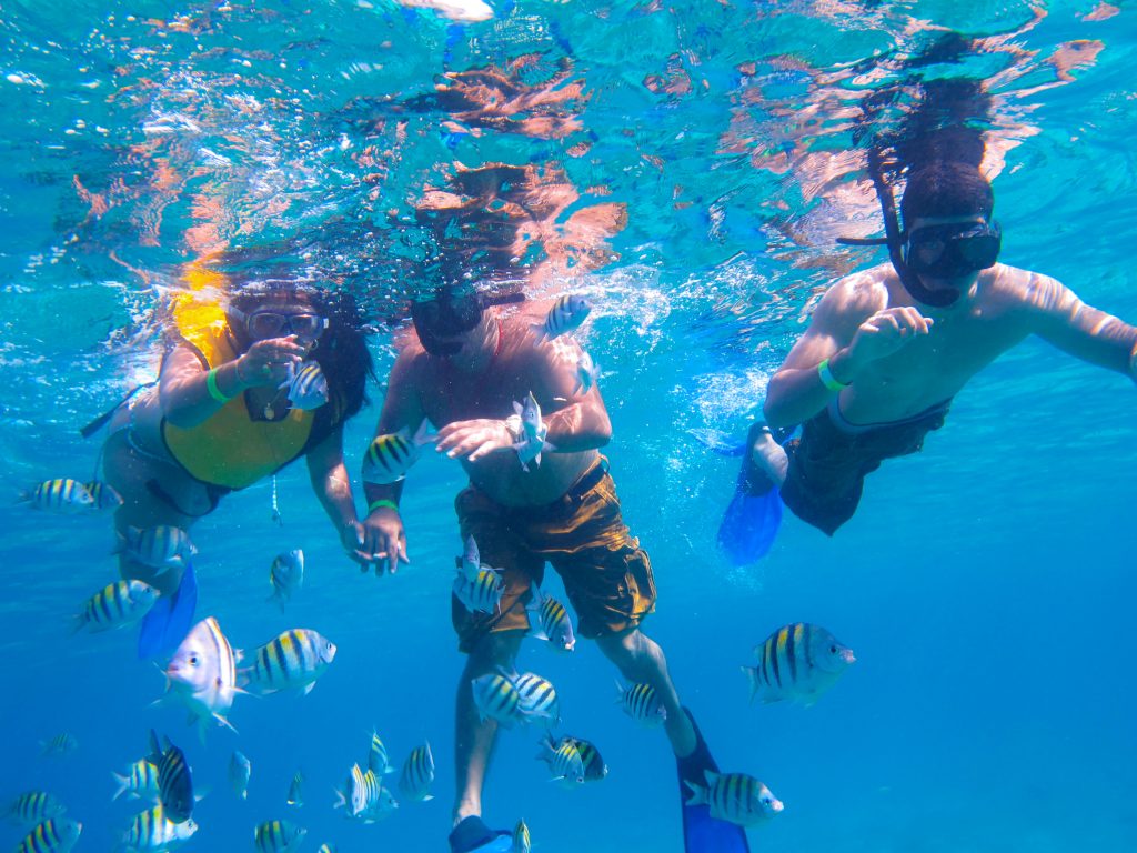 Where to Stay in Cozumel for Snorkeling