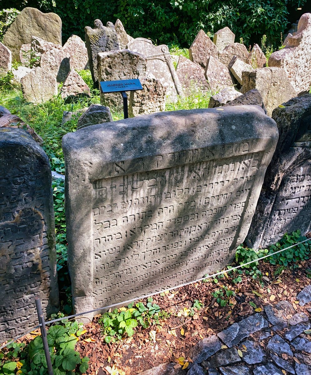 Avigdor Kara