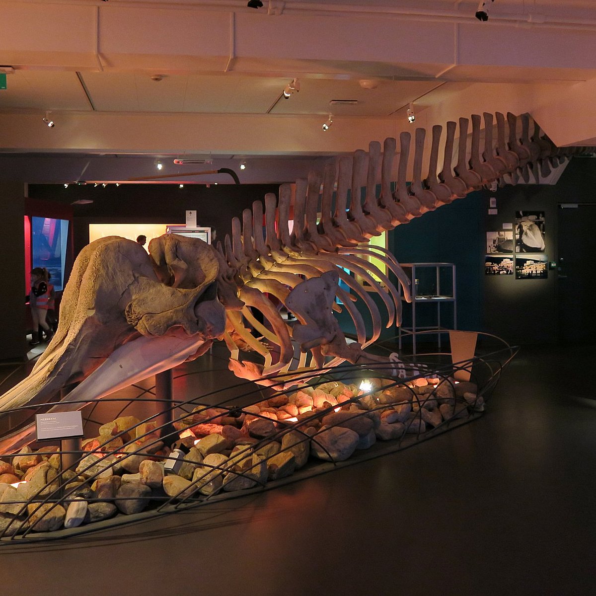 Tromso Museum