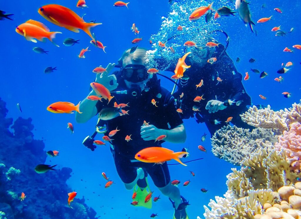 Scuba Diving in Turkey Prices