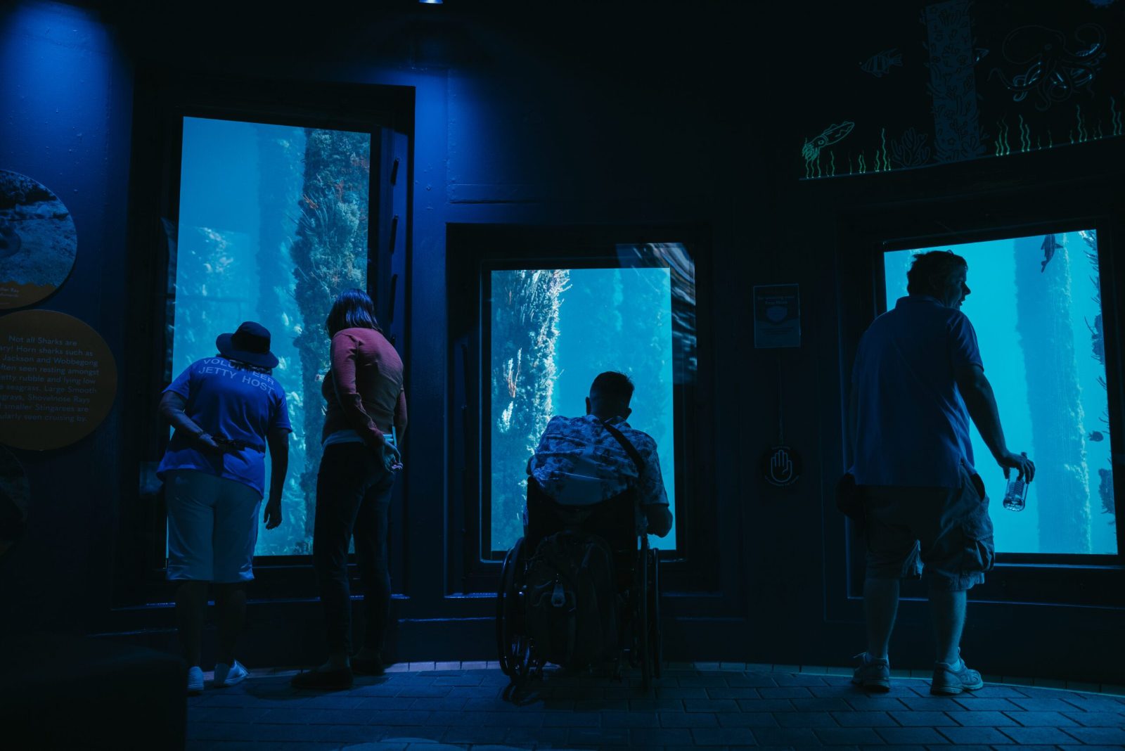 Underwater Observatory