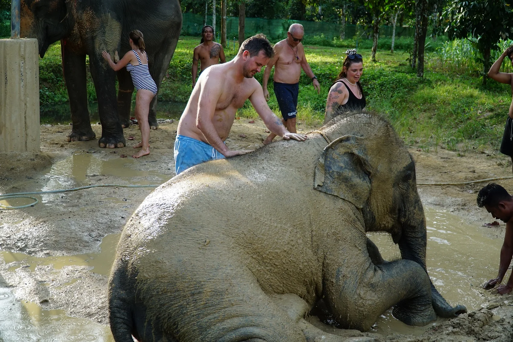 Elephant Mud Spa