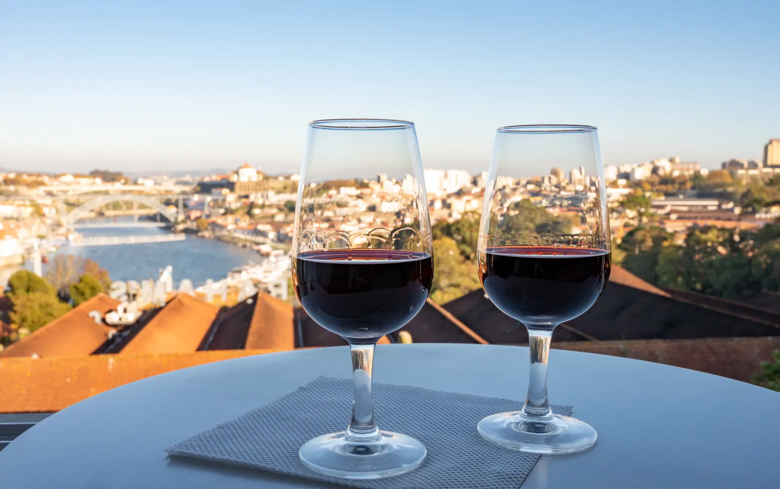 Port Wine Tasting Vila Nova De Gaia