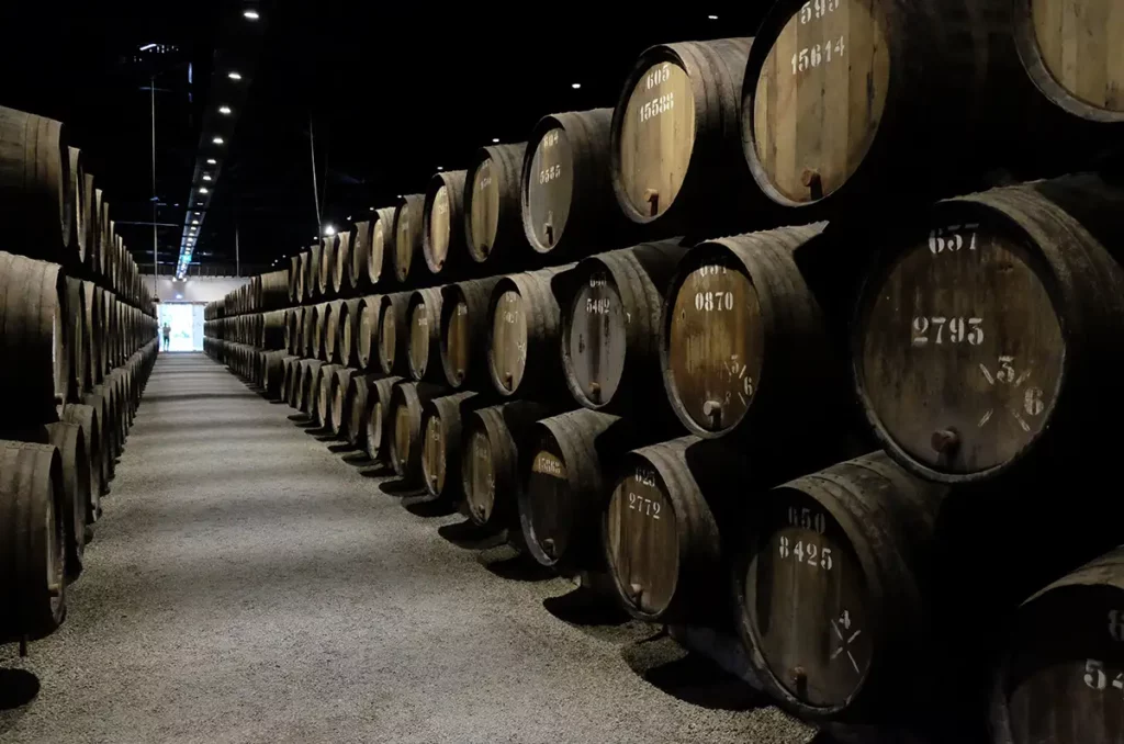 Port Wine Tasting Vila Nova de Gaia Experience