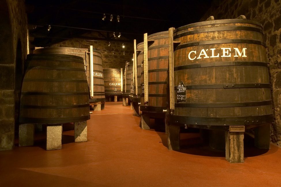 Cellar Exploration
