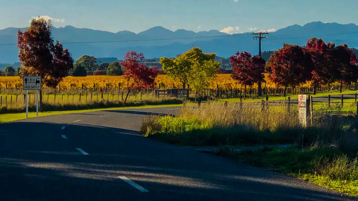 Vineyard Cycling Paths