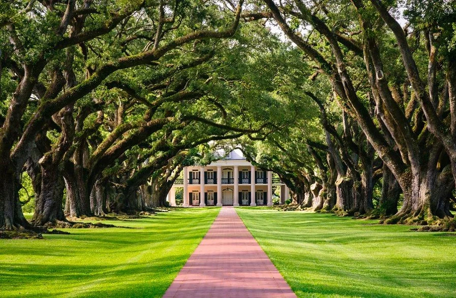 New Orleans Plantation and Swamp Tour
