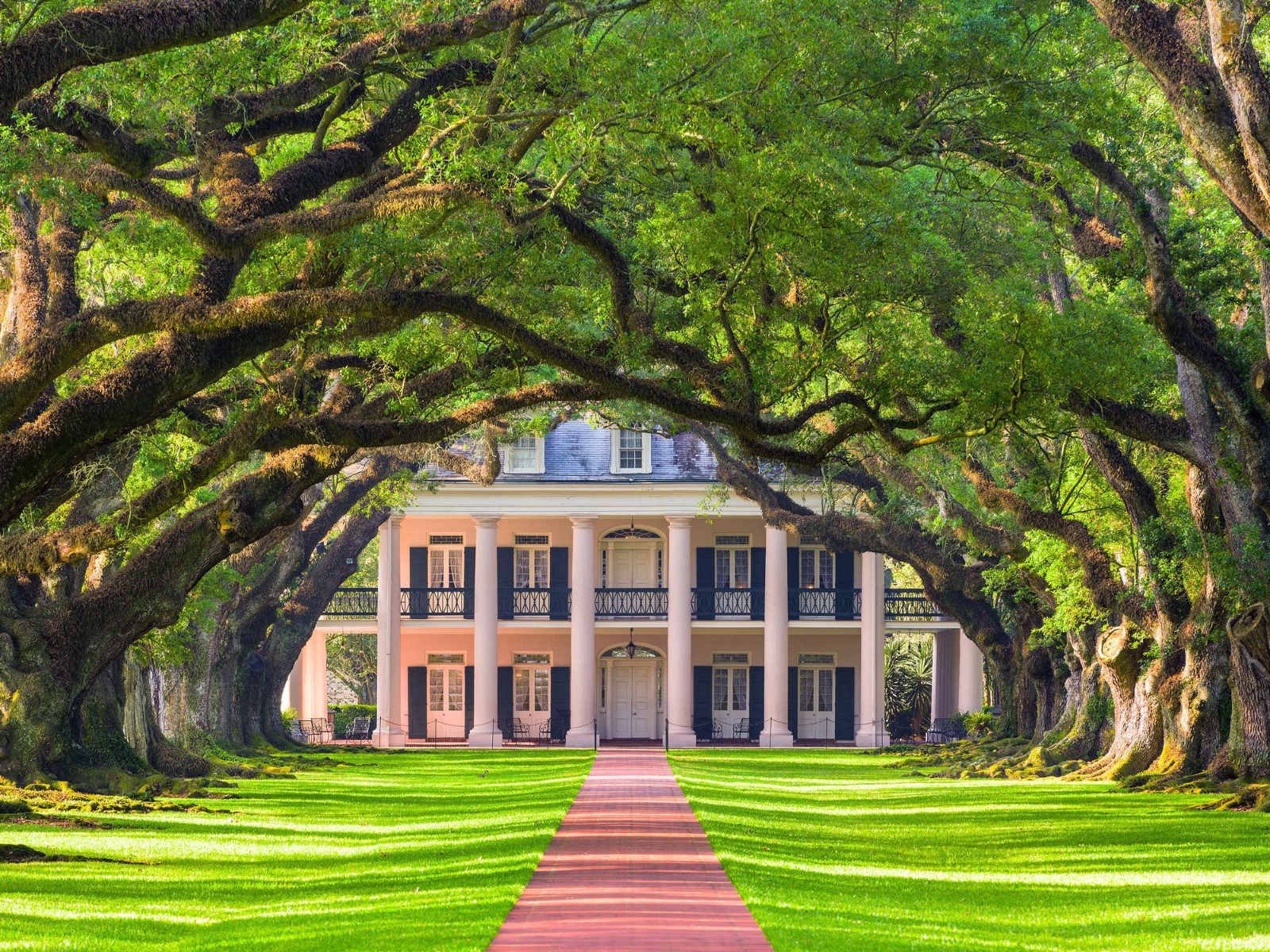 New Orleans Plantation and Swamp Tour Overview