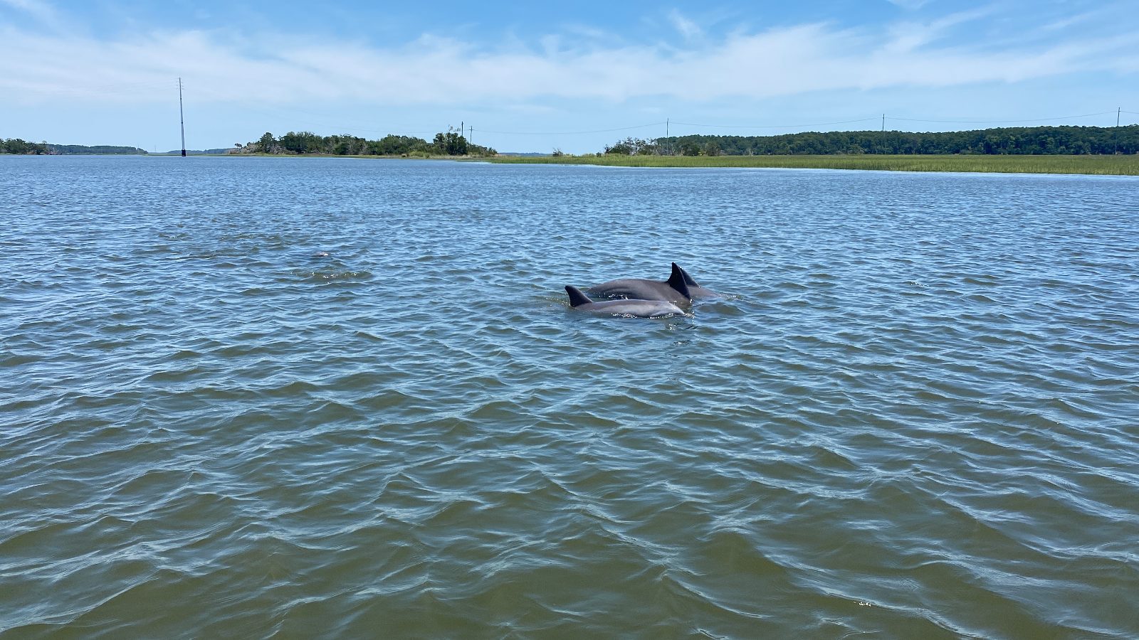Your experience at Hilton Head to Savannah Ferry