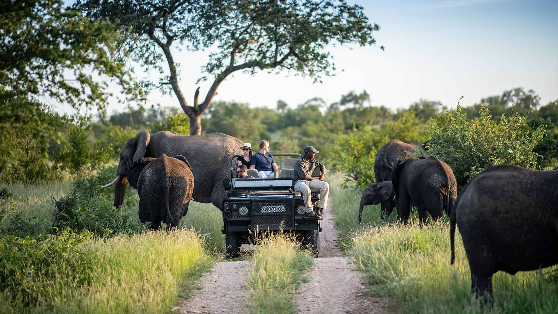 Kruger Safari From Hazyview