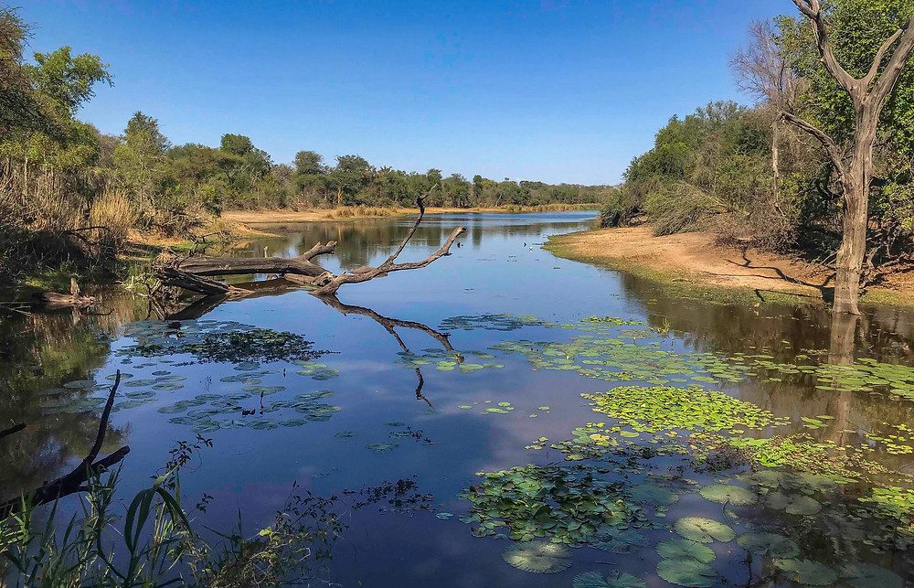 Lake Panic Bird Hide