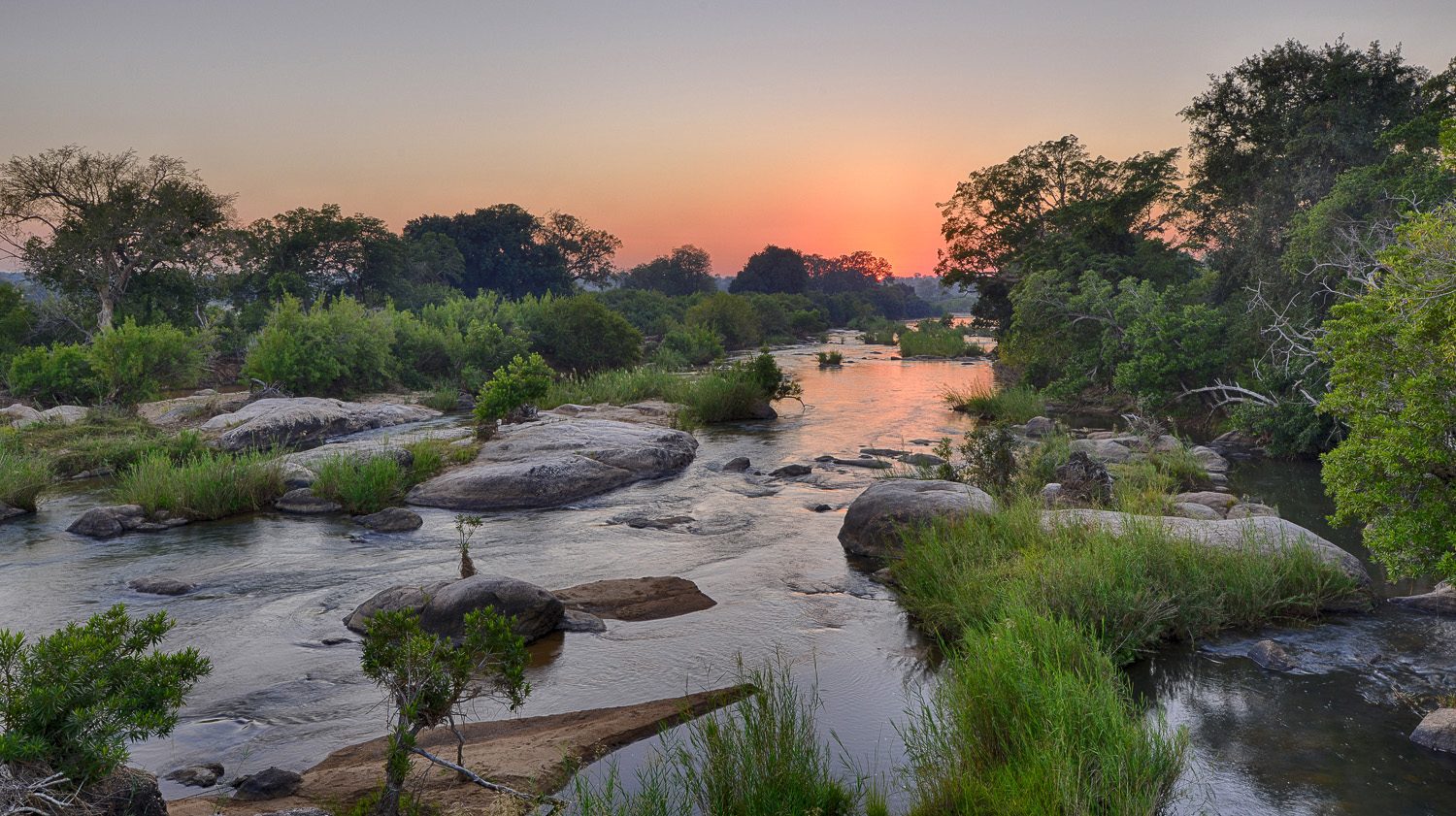 Kruger Safari from Hazyview Experience