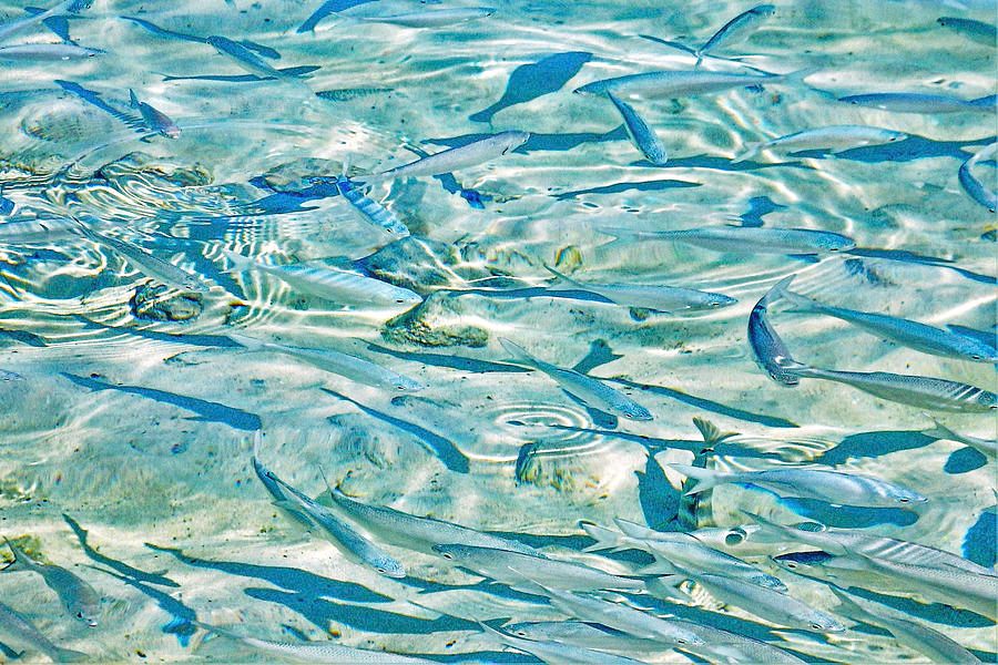 Clear shallow water in calm pools
