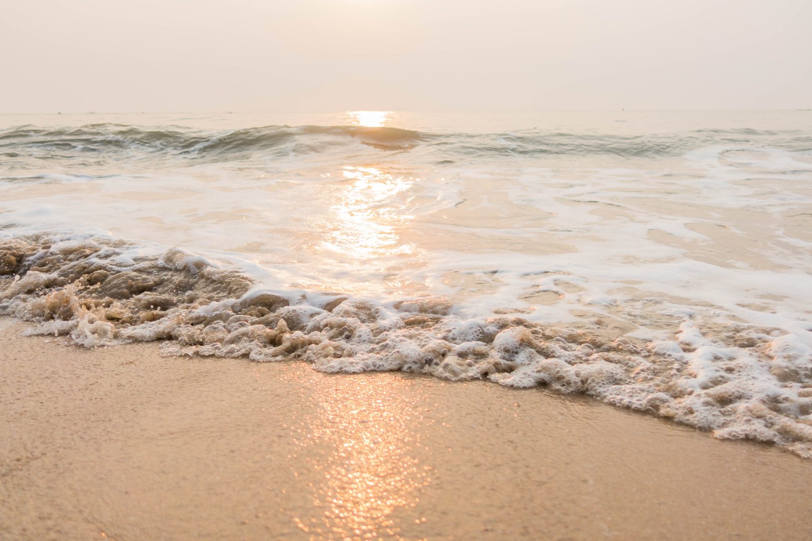 Sunny shallow water with small fish