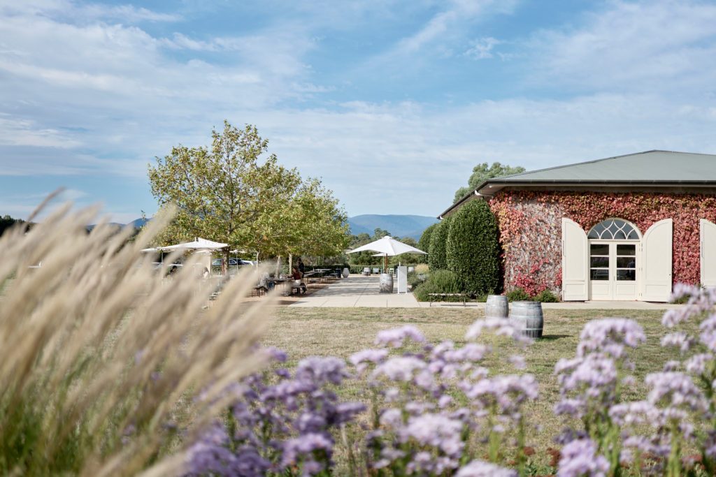 Dominique Portet Winery