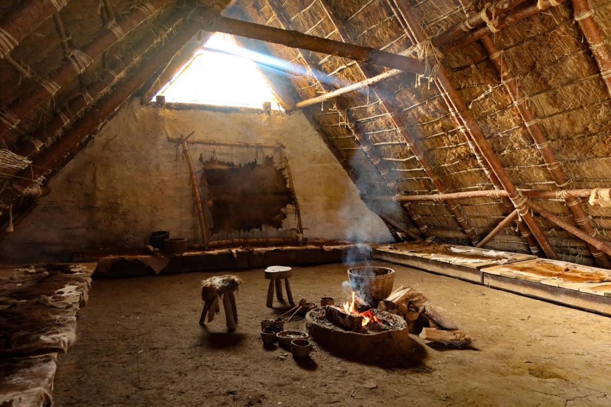 Neolithic Houses