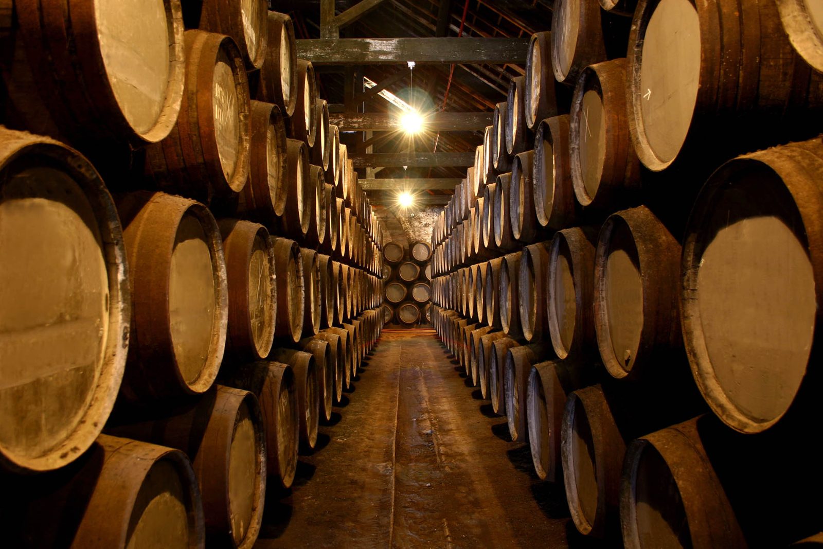 Best Port Wine Cellars in Vila Nova De Gaia
