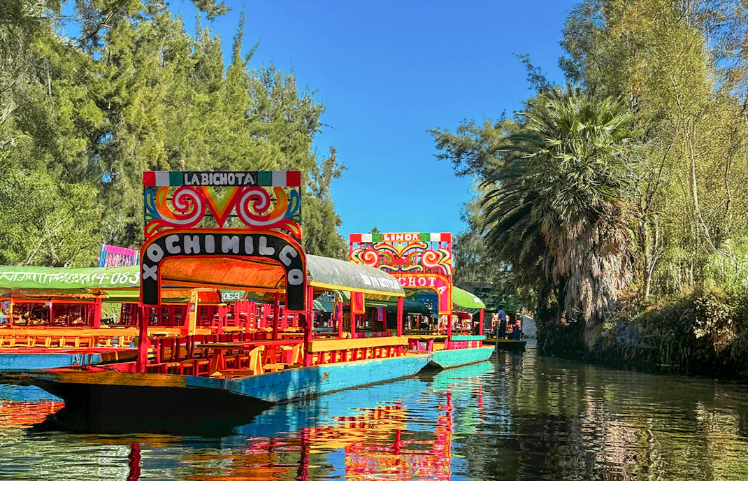 Frida Kahlo Museum & Xochimilco Combo Tours