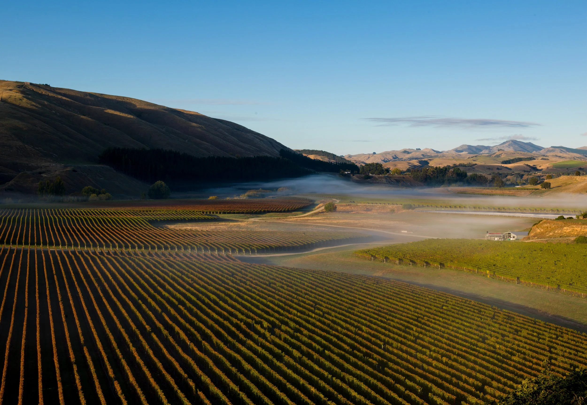 How Far Is Martinborough From Wellington