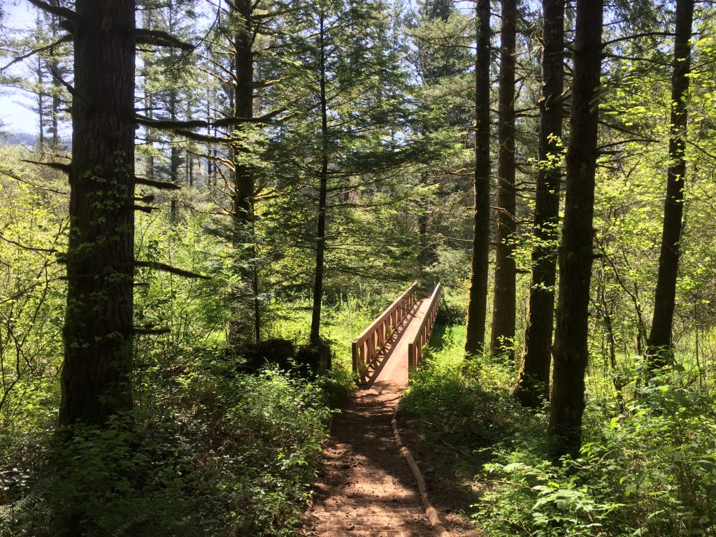Jones Creek Trails