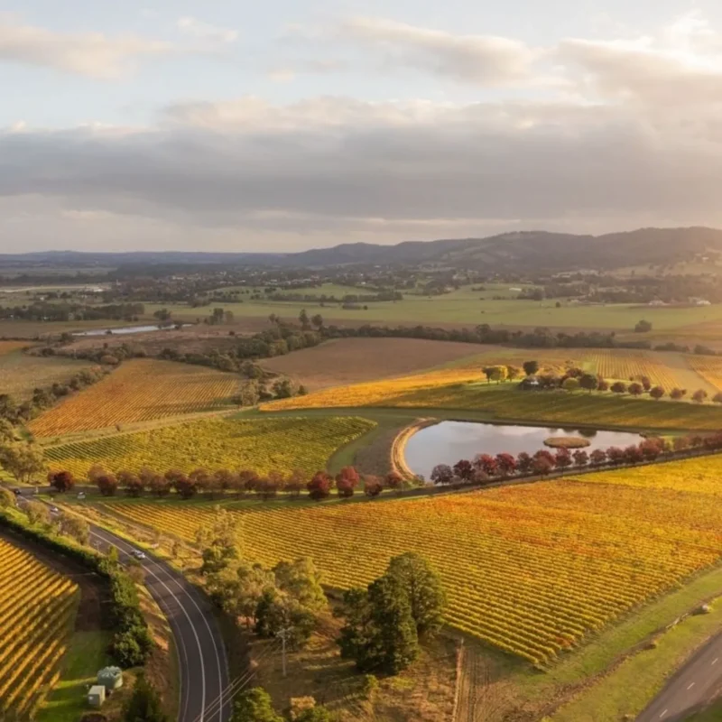 How to Get to Yarra Valley From Melbourne