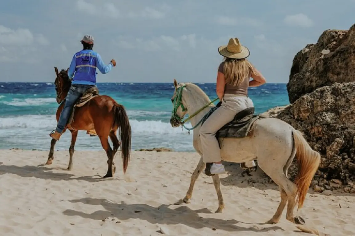 Where Can I Go Horseback Riding on the Beach