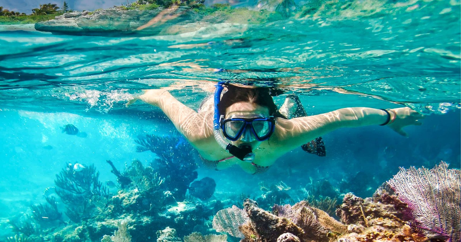 Your experience at Cahuita National Park Snorkeling