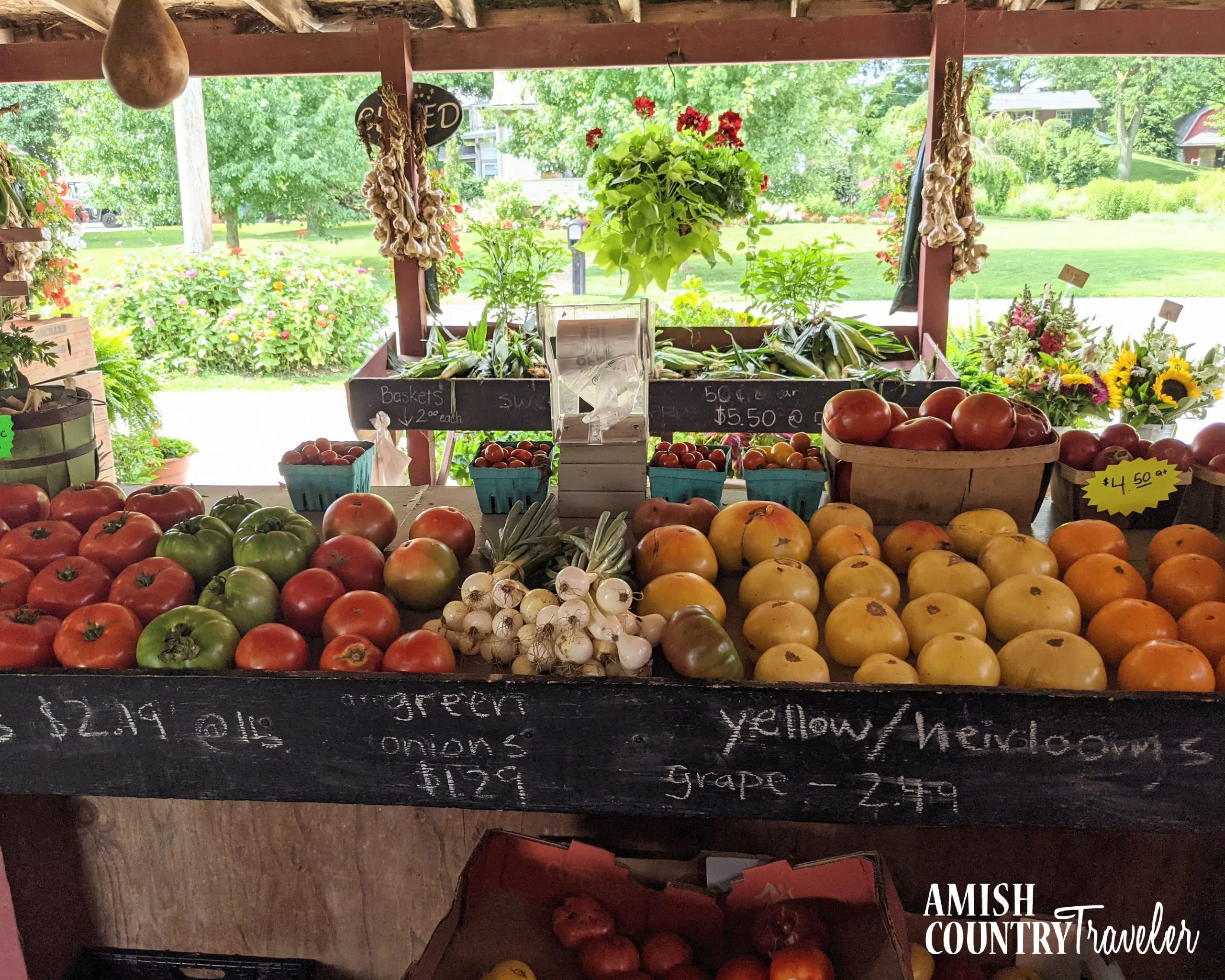 Amish Country Tour From Philadelphia