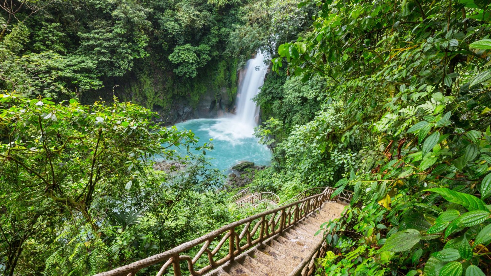 Rainforest Reserve