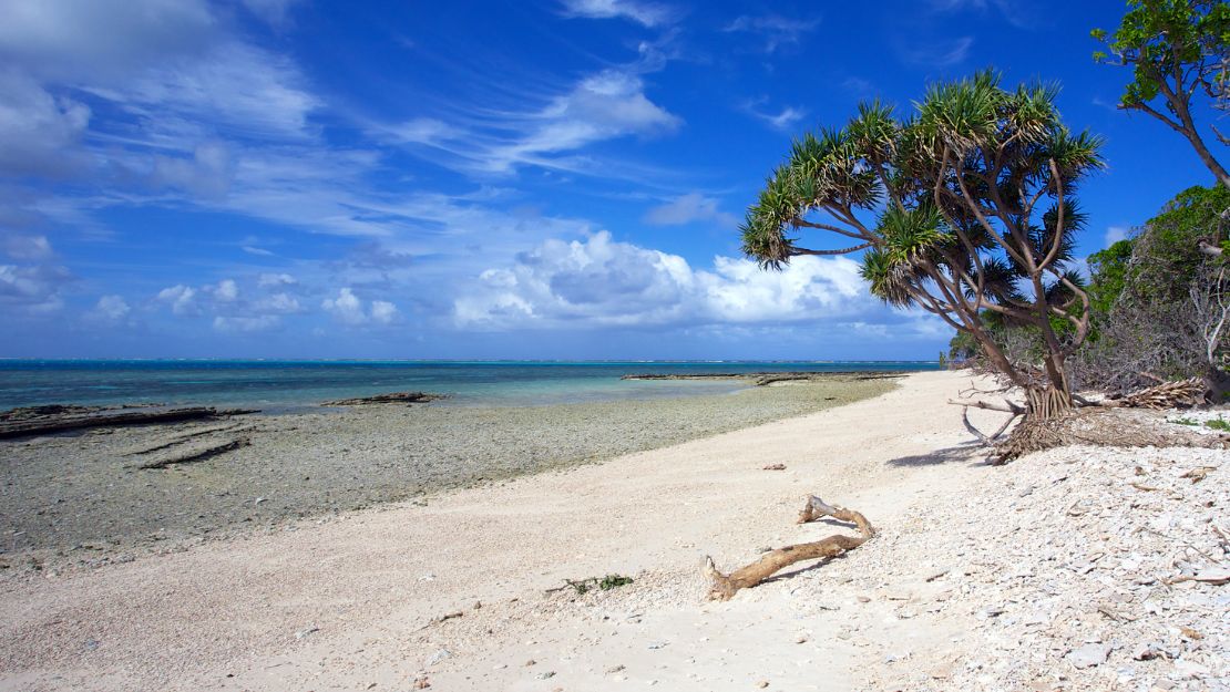 Southern Beach Shoreline