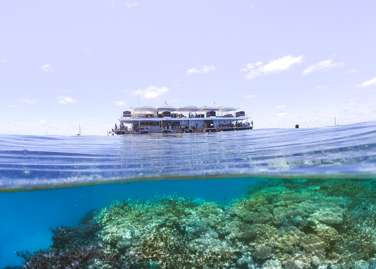 Reef Guardian Pontoon Deck