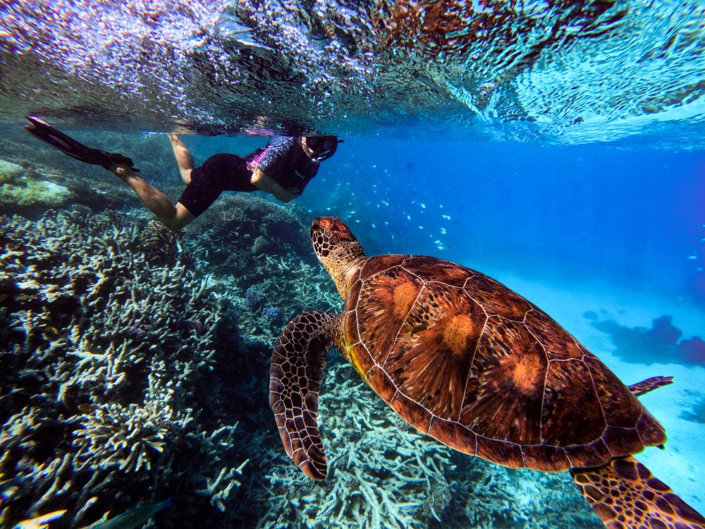Lagoon Snorkeling Zone