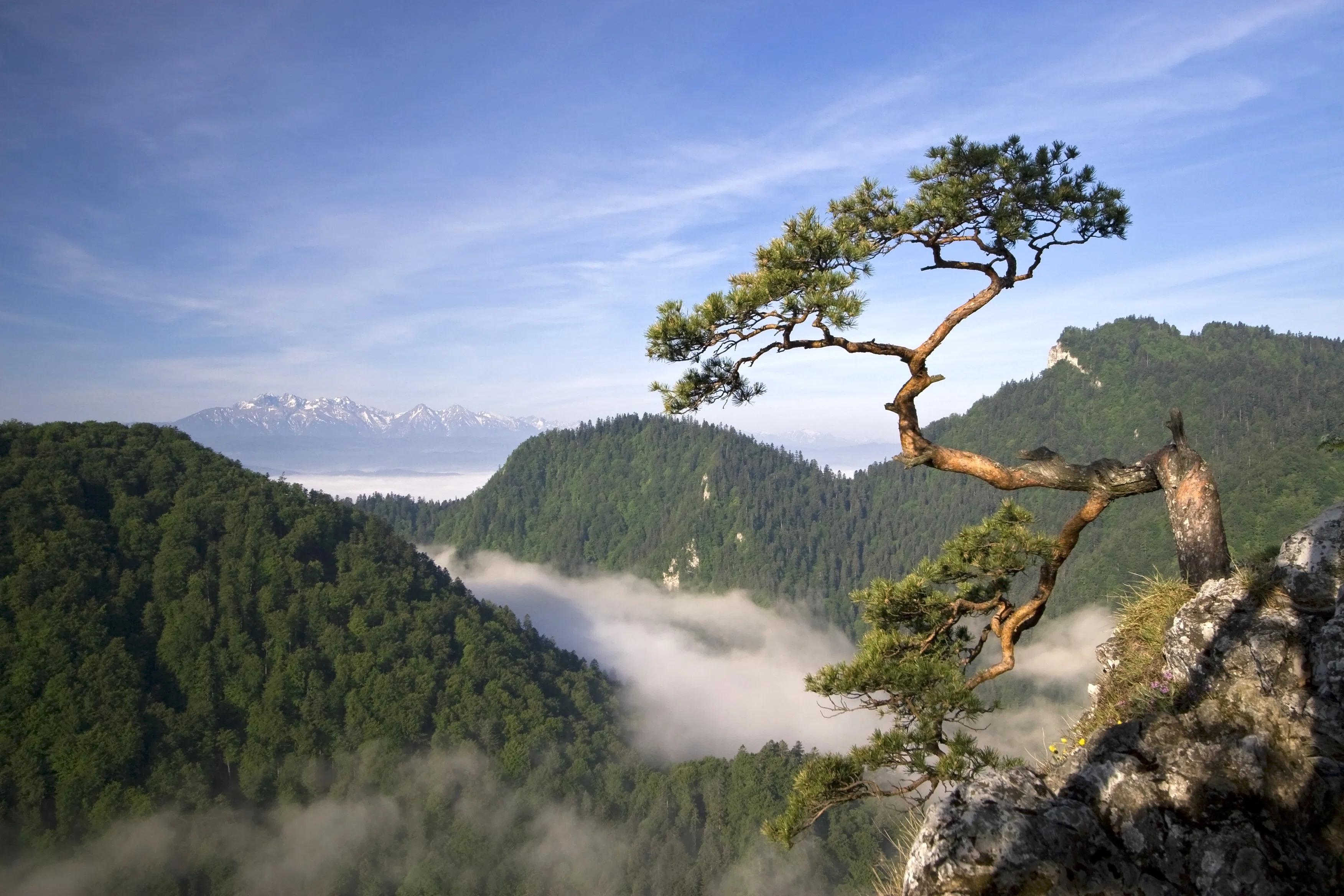 Sokolica Peak