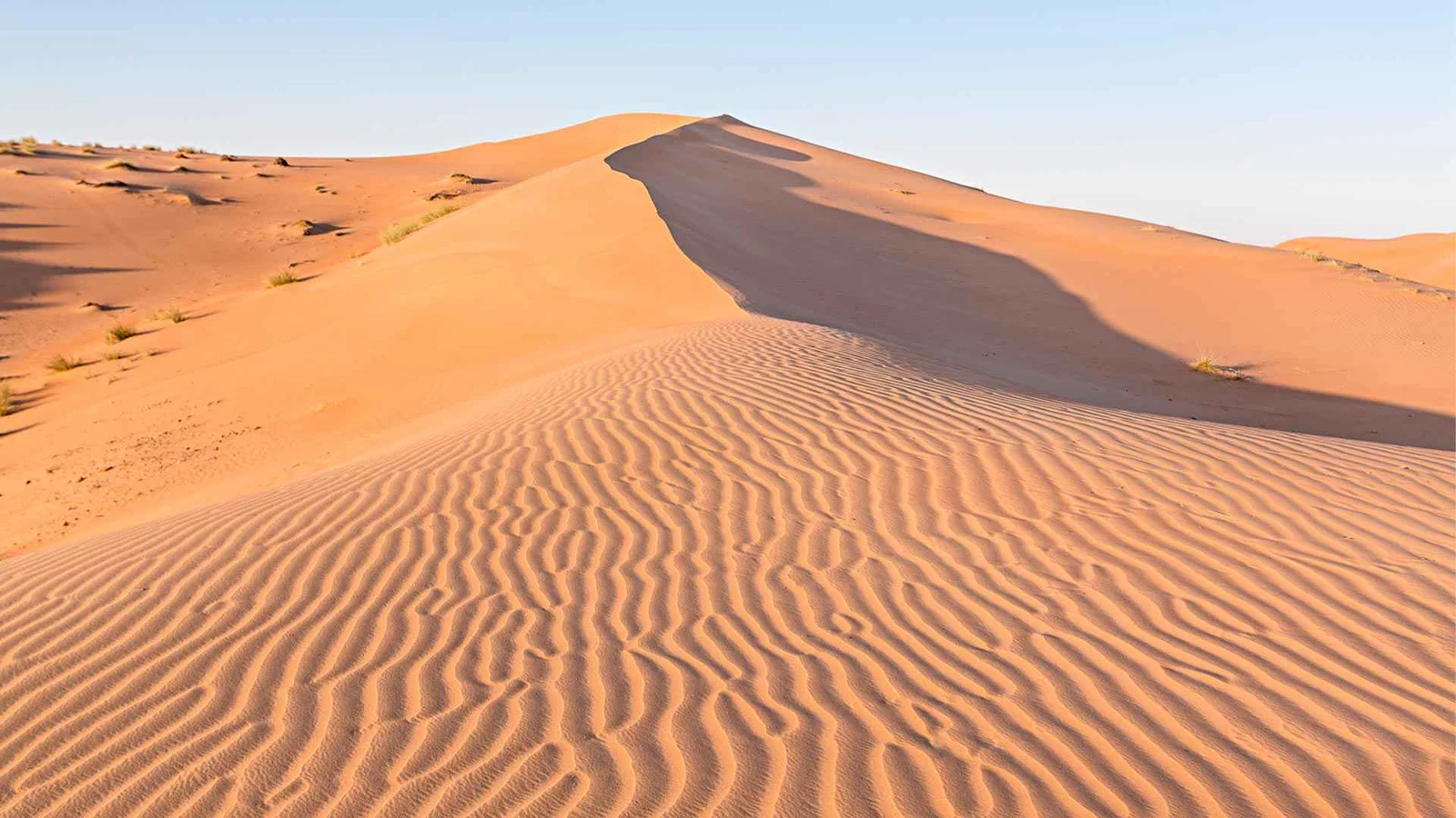 Wahiba Sands Wadi Bani Khalid Tour