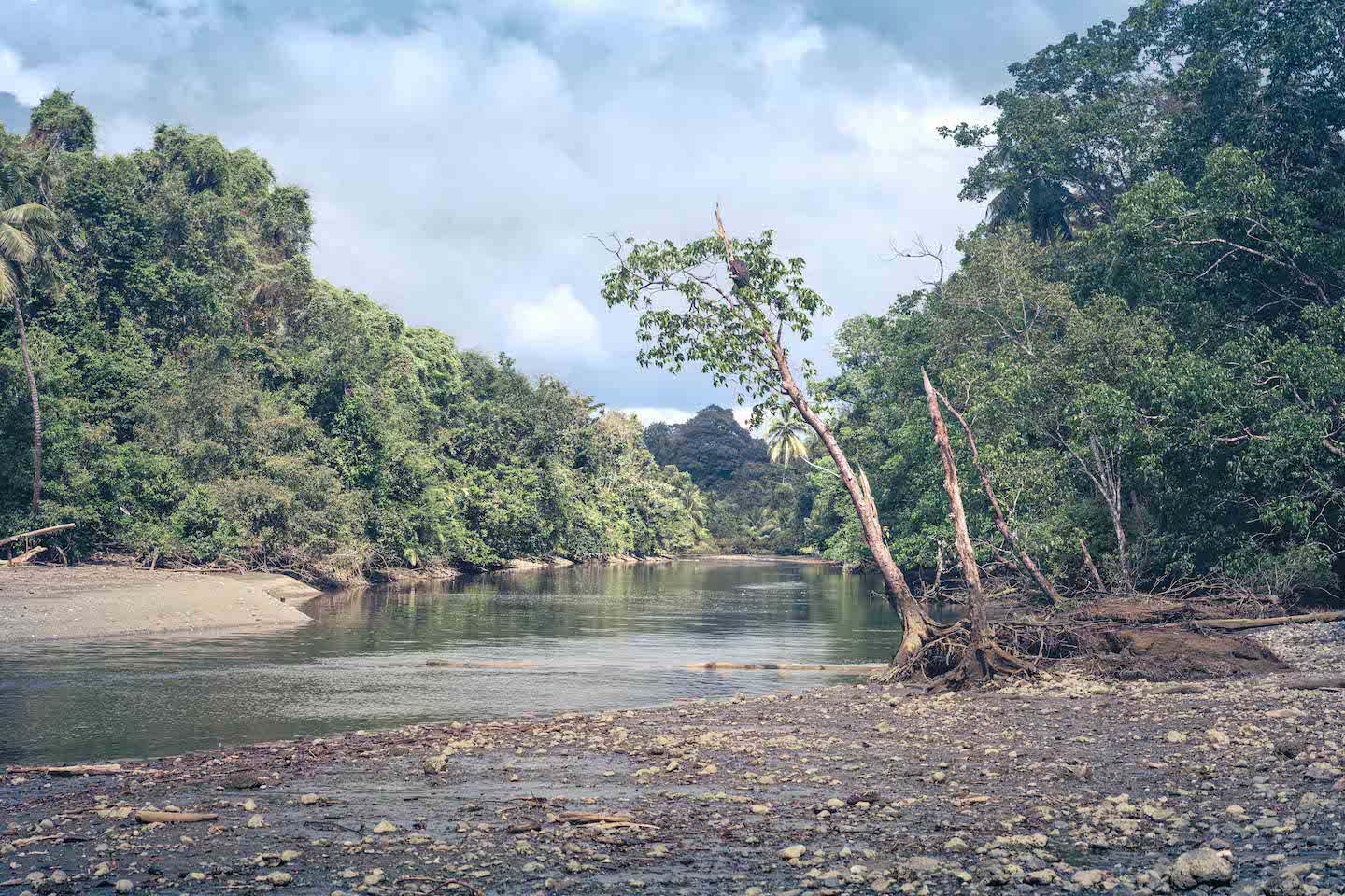 Rio Sirena River Mouth