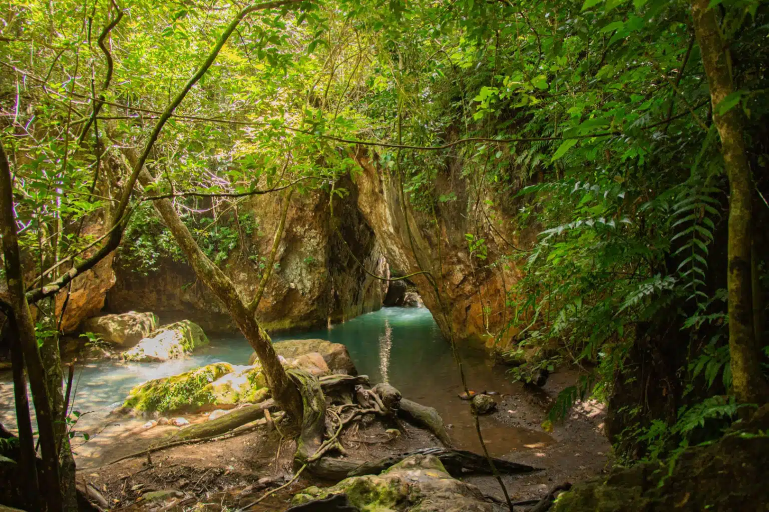 La Leona Trail