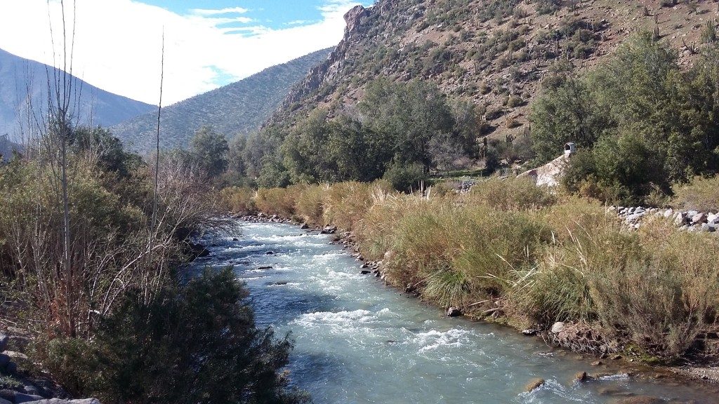 Los Patos Sector