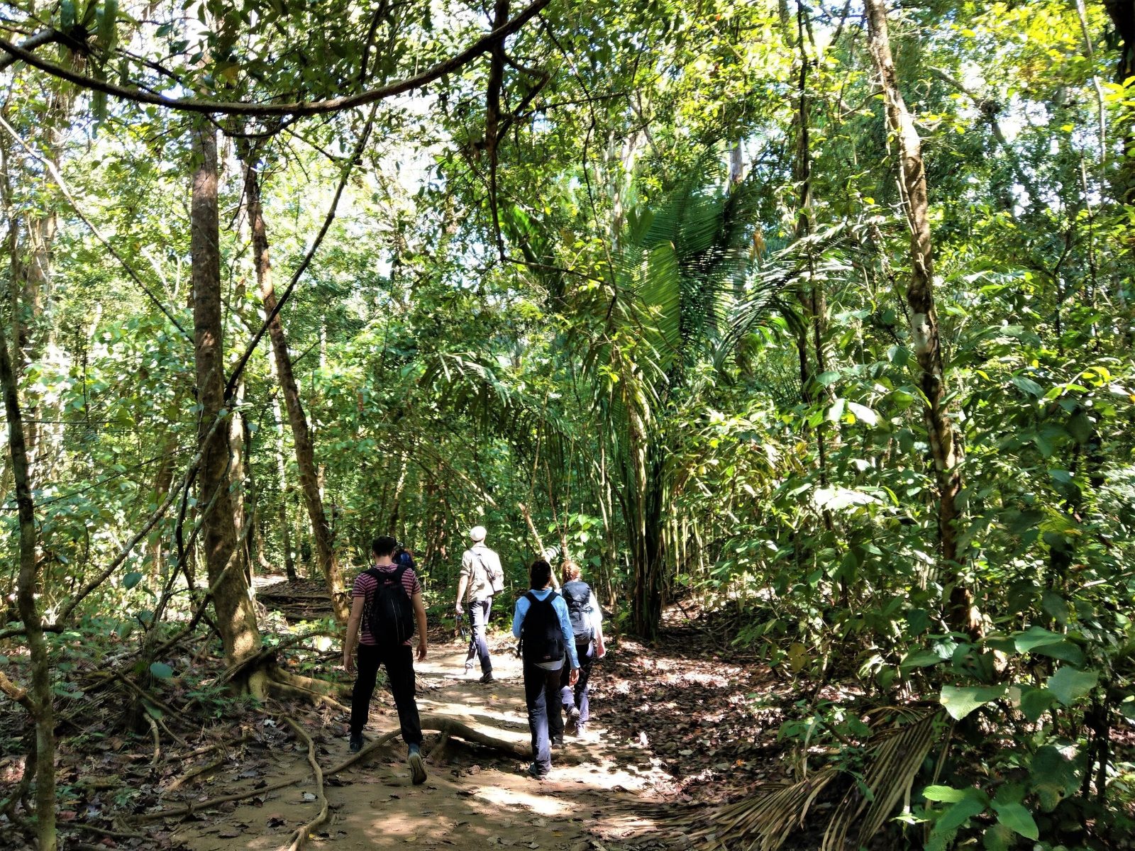 Corcovado Tours From Puerto Jimenez