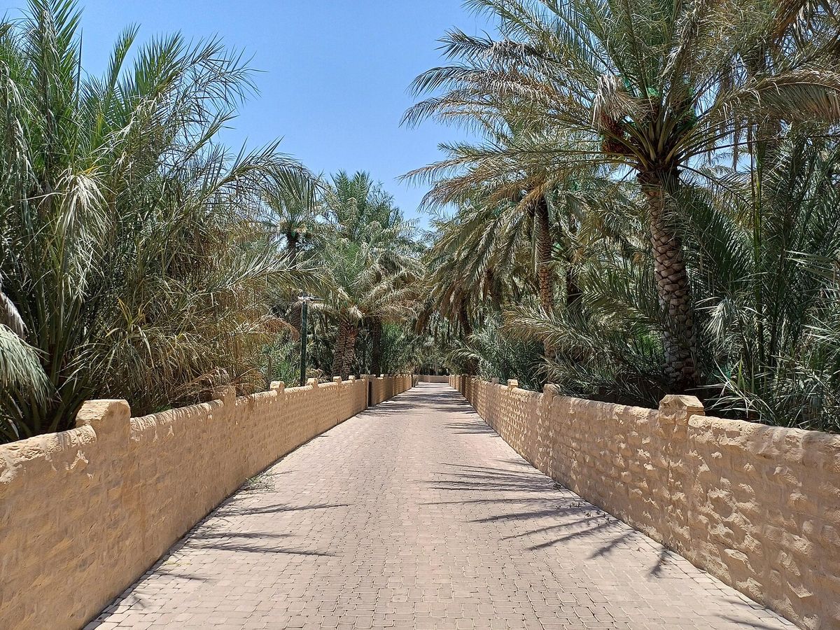 Al Ain Oasis Palm Corridor